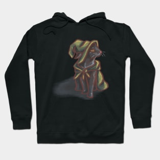 Travelling Mage Cat Hoodie